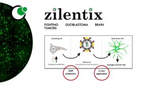 Zilentix